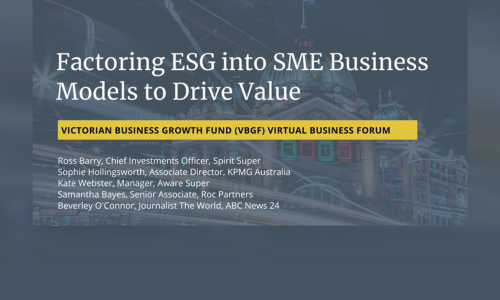 Factoring ESG into SME Business Models to Drive Value