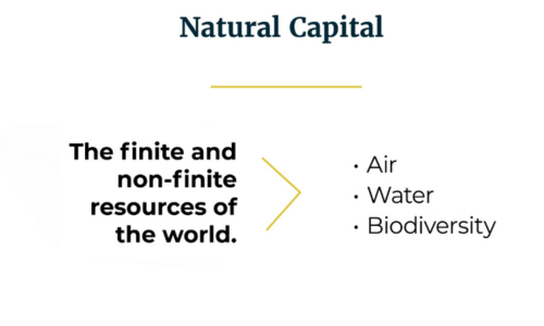 Looking ahead Net zero for private markets