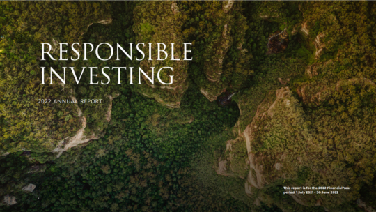 Responsible investing report