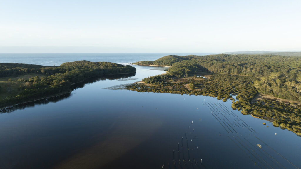 Australia's Oyster Coast