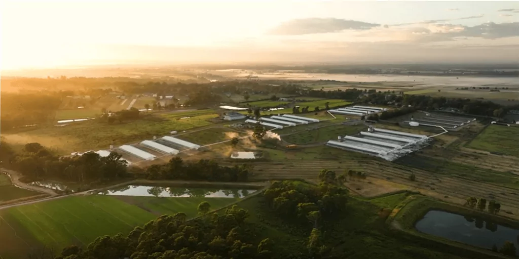 Pace Farm